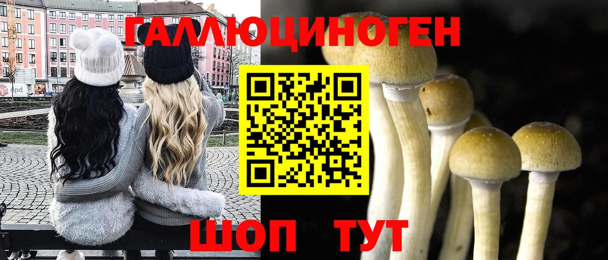 Красноуфимск  где найти наркотики  Вход с VPN  Псилоцибиновые грибы мицелий 
