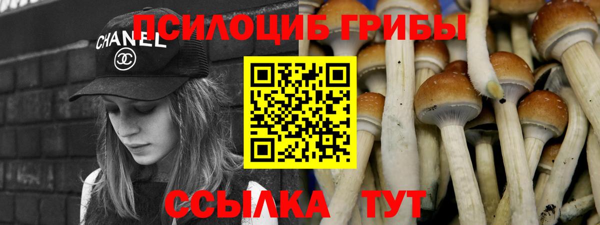 Галлюциногенные грибы MAGIC MUSHROOMS Красноуфимск